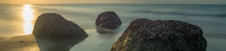 The sea