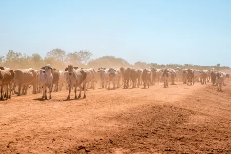 agricultural-research-funding-boost