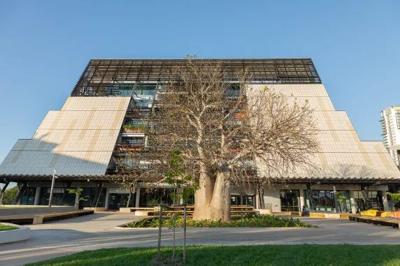Front view of the Danala Education and Community Precinct Boab