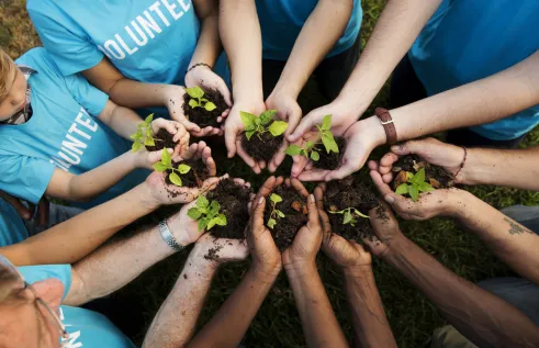 envirocollective